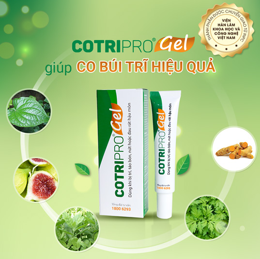 Cotripro 25g kem bôi trĩ