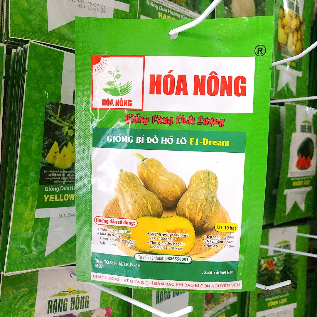 Giống bí đỏ hồ lô dream