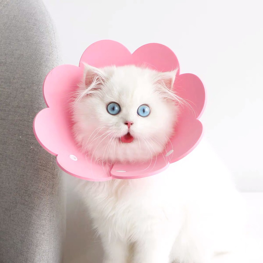 Vòng chống liếm cho chó mèo hoa cúc hot hit êm ái có dây rút