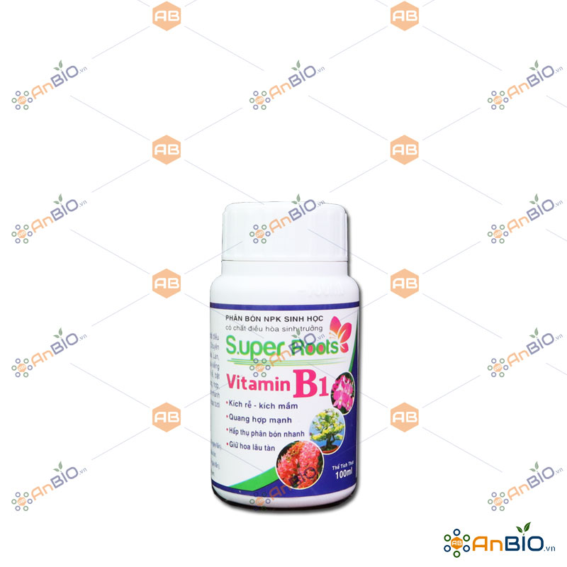 [HCM]SUPER ROOTS VITAMIN B1 Chai 100ml BỔ SUNG NPK VÀ ĐIỀU HÒA SINH TRƯỞNG - C2.1030