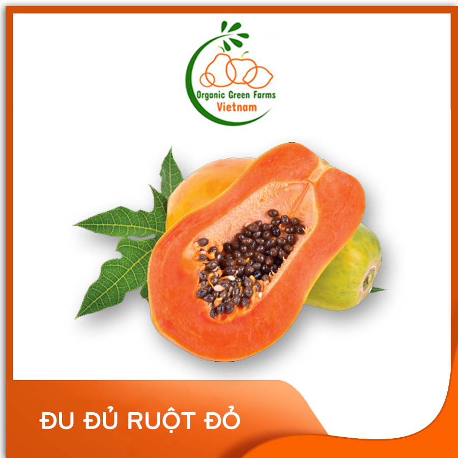 [OGF] - Đu đủ ruột đỏ - Giao nhanh HCM