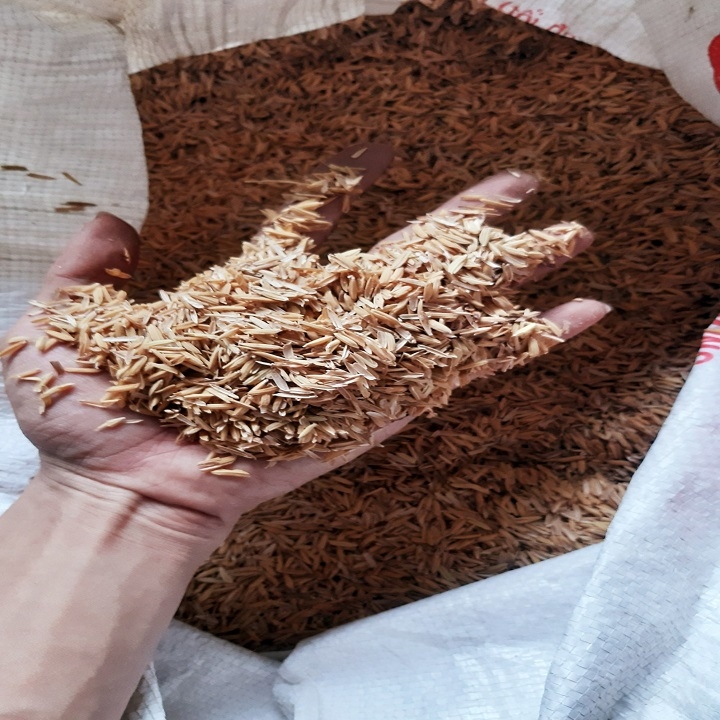 Vỏ trấu giá thể trộn cho đất tơi xốp, thích hợp cho nhiều loại cây ăn trái và cây kiểng hoa kiểng các loại rau củ quả trồng trên tầng