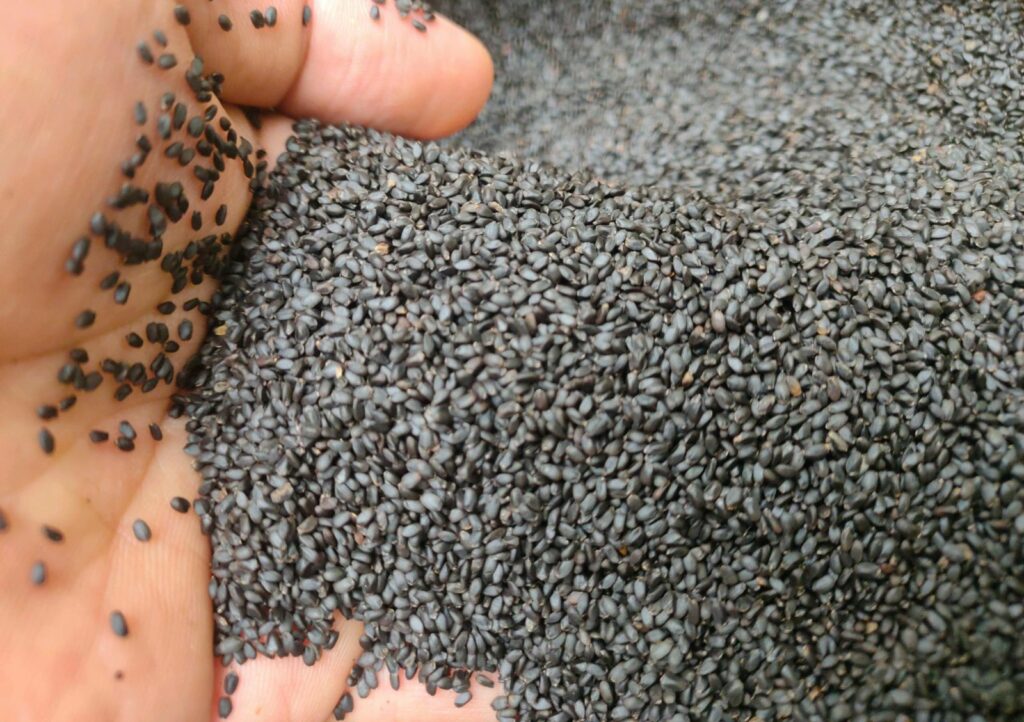Hạt é ngon, mát, giúp giảm cân gói 300gr