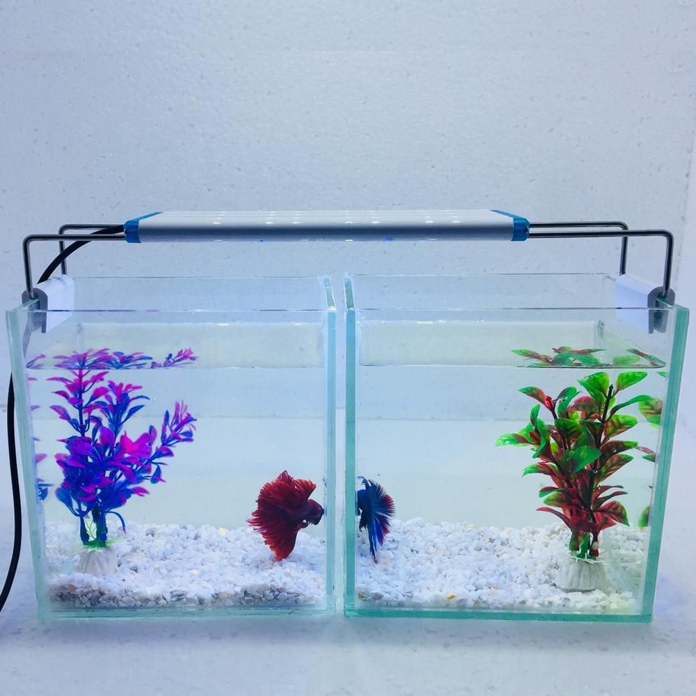 Bể cá mini để bàn combo 2 Bể cá có đèn led