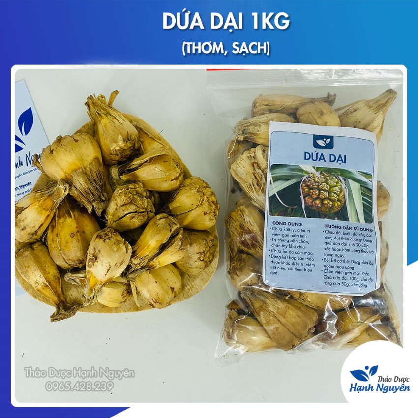 Quả Dứa Dại Rừng 1kg (Khô, Sạch, Vàng Đẹp)