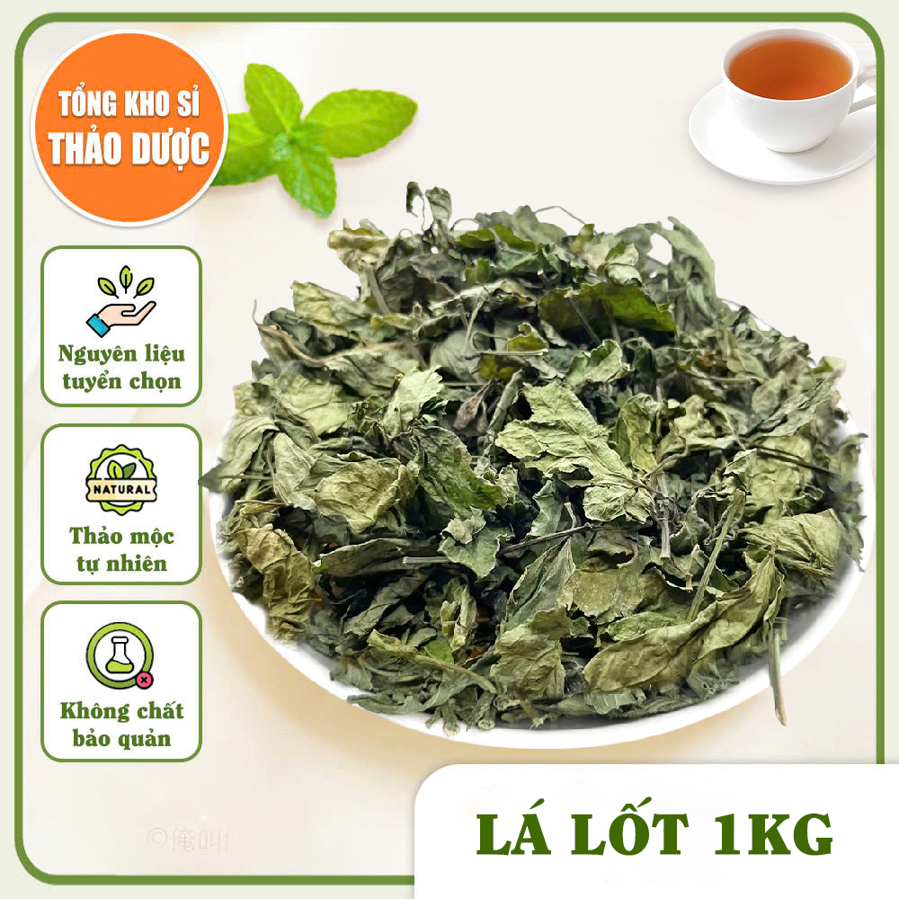 Lá lốt khô 1kg, nguyên lá, sạch, thơm, dùng nấu nước uống, xông hơi - Tổng Kho Sỉ Thảo Dược