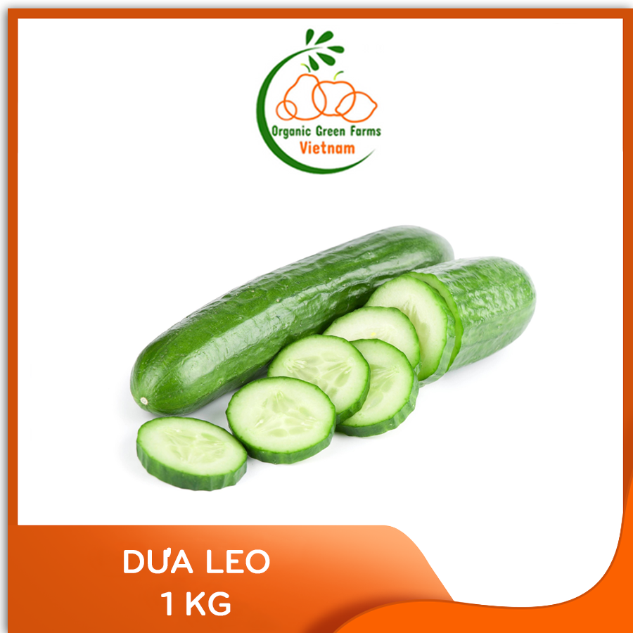 [OGF] - Dưa leo (500 g) - Giao nhanh TP. HCM