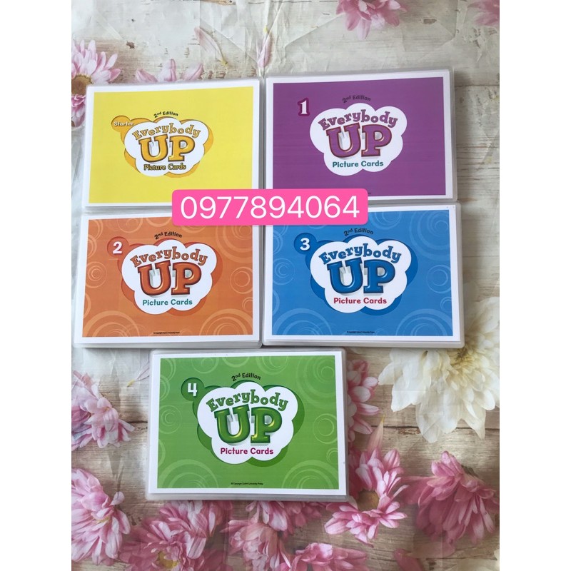 Thẻ Flashcards Tiếng Anh Everybody up starter -1-2-3-4☘️ép plastics bền đẹp❤️