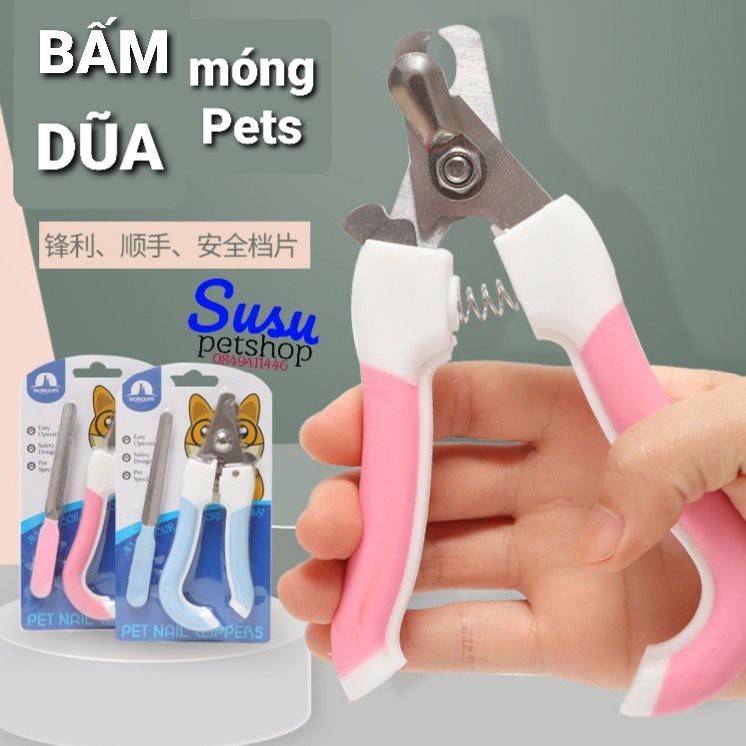 Cắt móng tay và dũa móng cho Chó