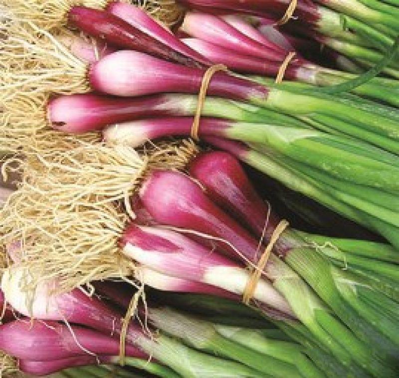 [HCM]HÀNH LÁ GỐC TÍM 01 PHÚ NÔNG _ GÓI 2GRAM NHIỀU HẠT  .