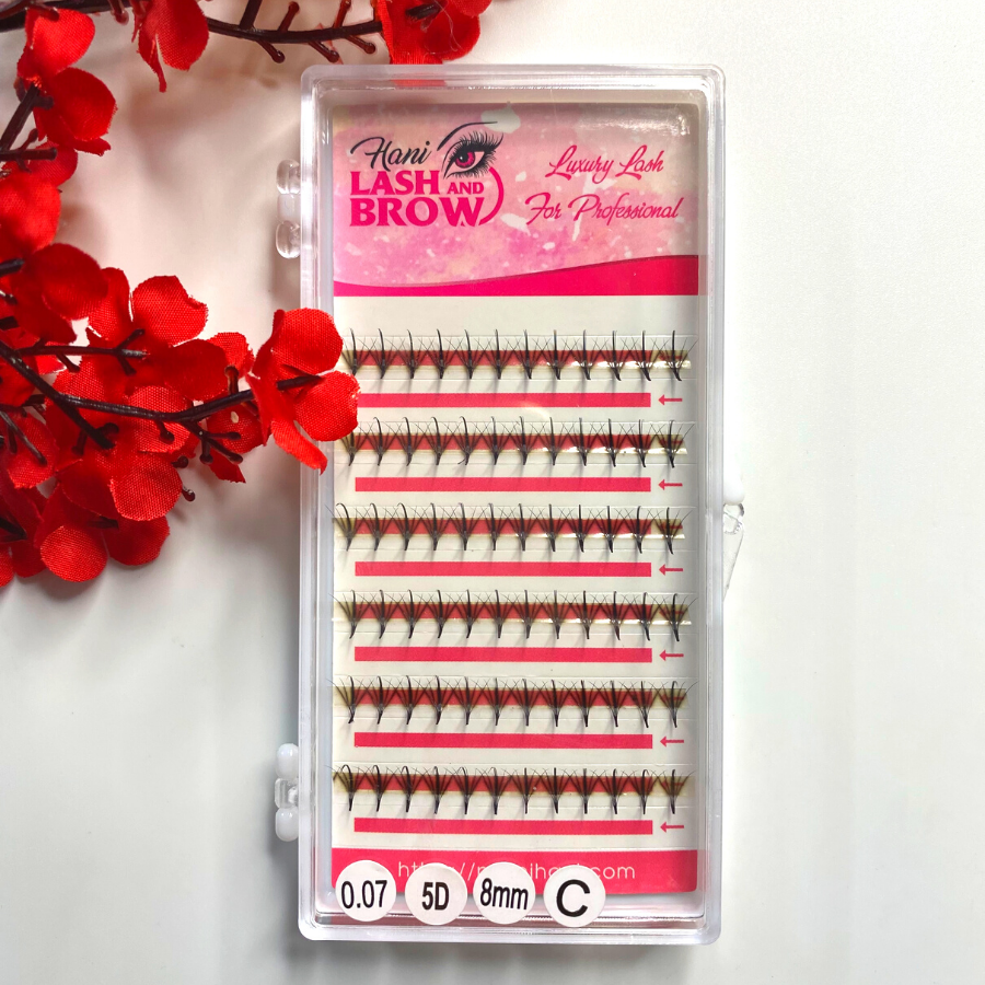 Lông mi Trụ Katun - Mi fan sẵn Wispy 5D 007 độ cong D - nối mi Thiết Kế - Hani Beauty