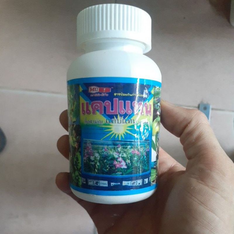 Thuốc captan thối nhũn vàng lá.