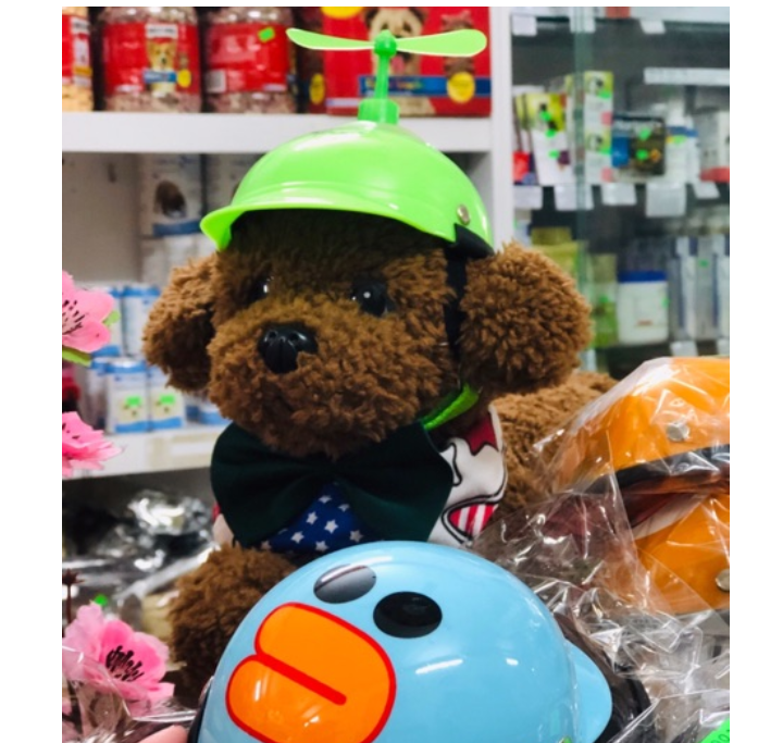 Nón mũ bảo hiểm dành cho chó mèo thú cưng đủ size đủ màu