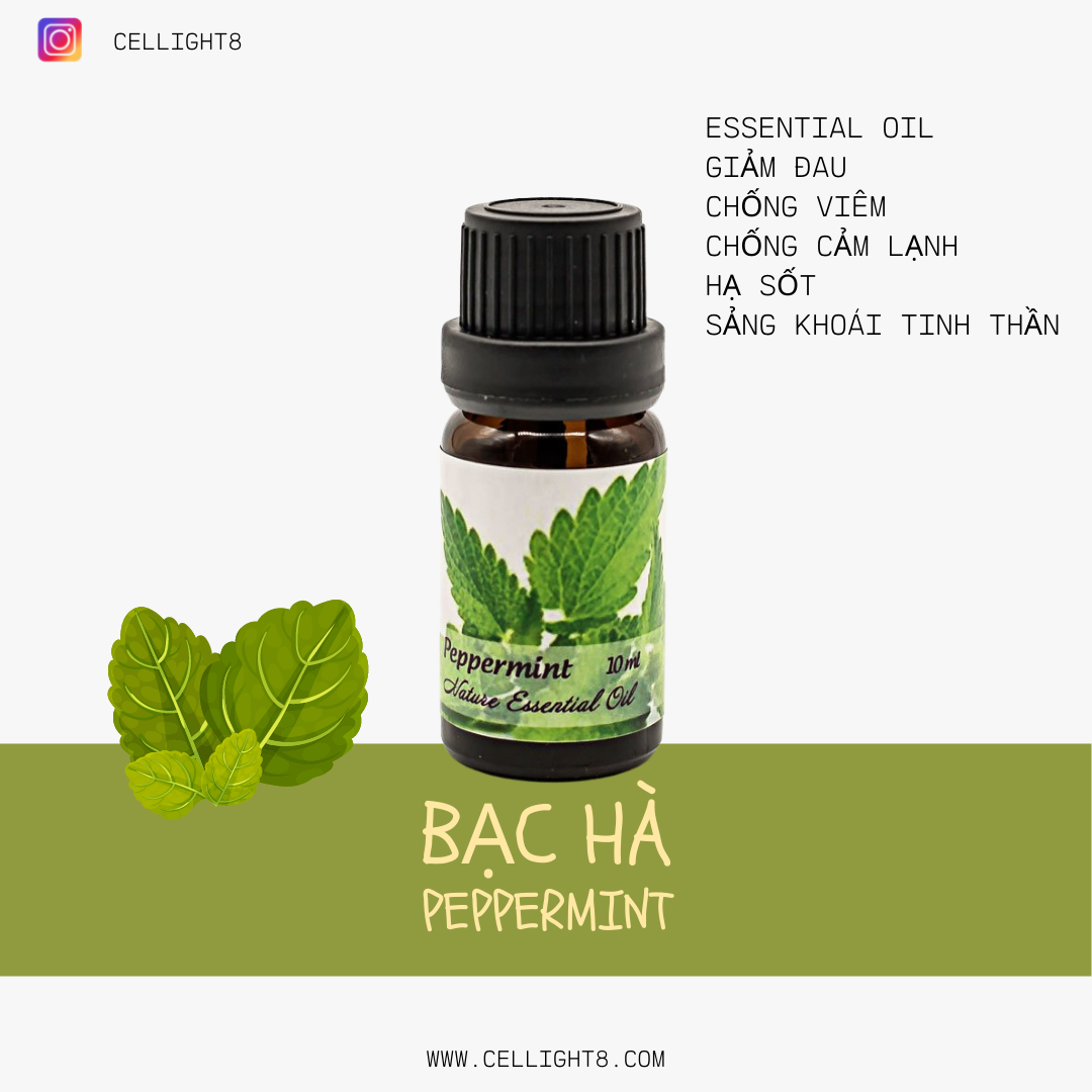 Tinh dầu bạc hà - Peppermint Essential Oil