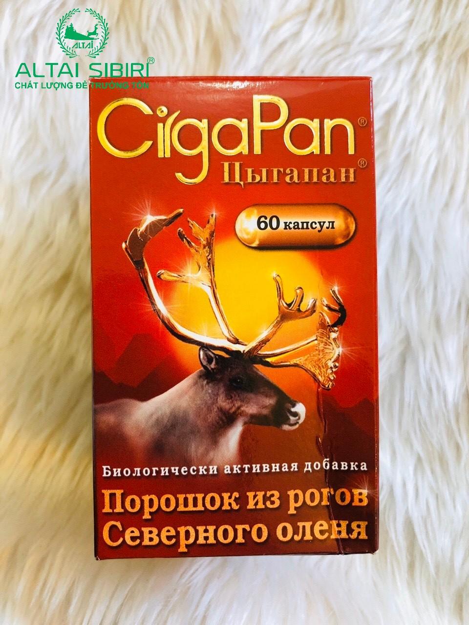 Viên nhung hươu Cigapan - Nga - 60 viên