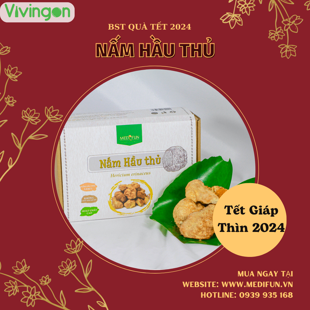Nấm hầu thủ khô (nấm đầu khỉ) loại 1, gói 100g - ViviNgon - Bảo vệ dạ dày hỗ trợ tiêu hóa - Lion's mane mushrooms