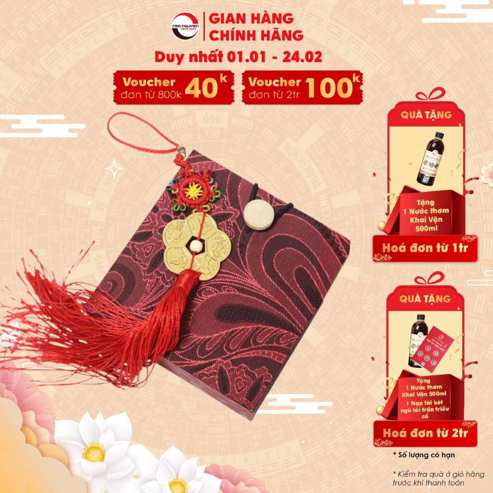 Nguyên lộc hoa mai chiêu tài lộc, bình an cho gia chủ - phong thủy tam nguyên