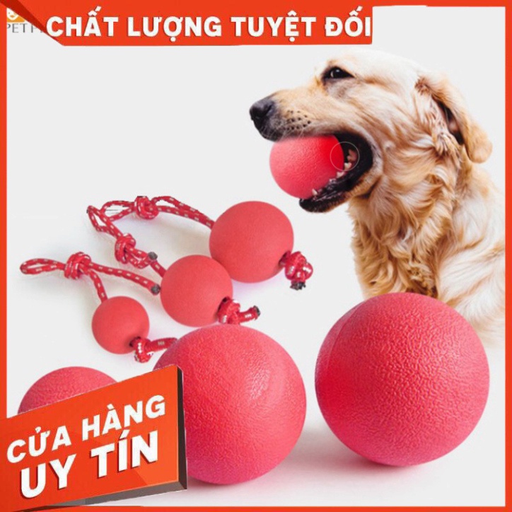 Bóng cao su tập cắn đồ chơi gặm cho chó Của QuaQua