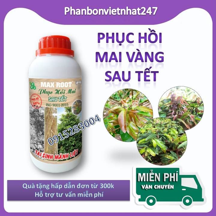 Phân Bón Cho Mai Phục Hồi Sau Tết Max Root Chai 0,5 Lít - Phục Hồi Nhanh Chóng, Xanh Lá Mượt Cành