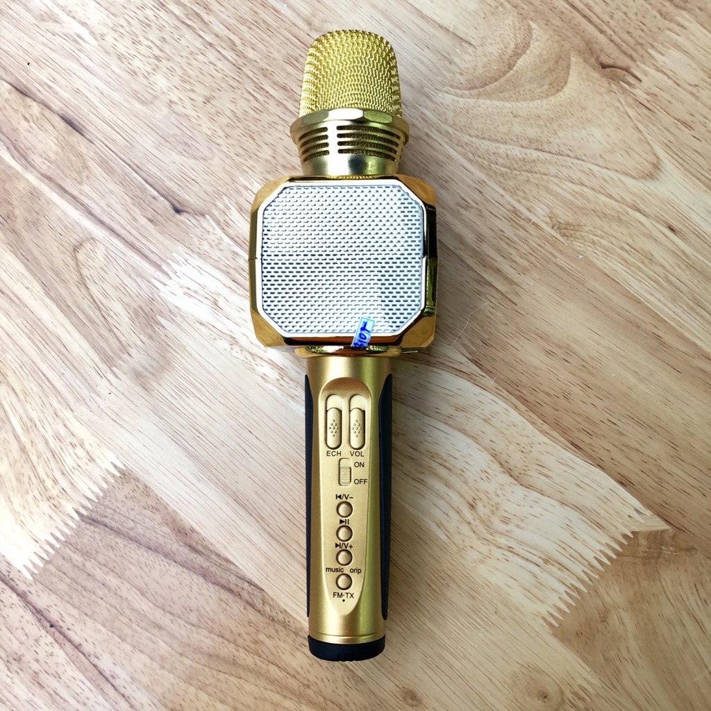 Micro Karaoke Kèm Loa Bluetooth Sd10