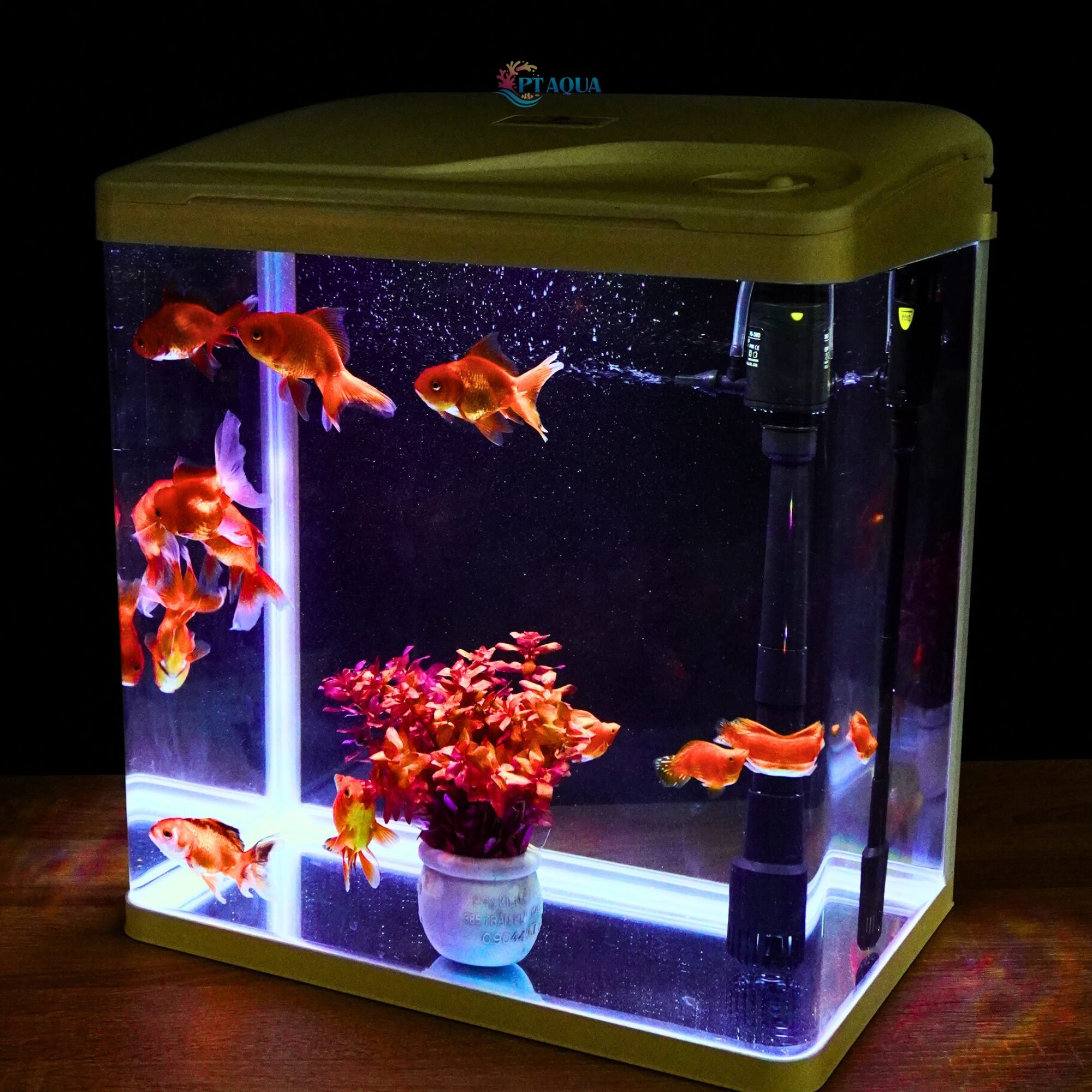 Bể Cá Cảnh Kính Đúc XS40 tích hợp LỌC và ĐÈN , Dài 38cm Rộng 24cm Cao 42cm