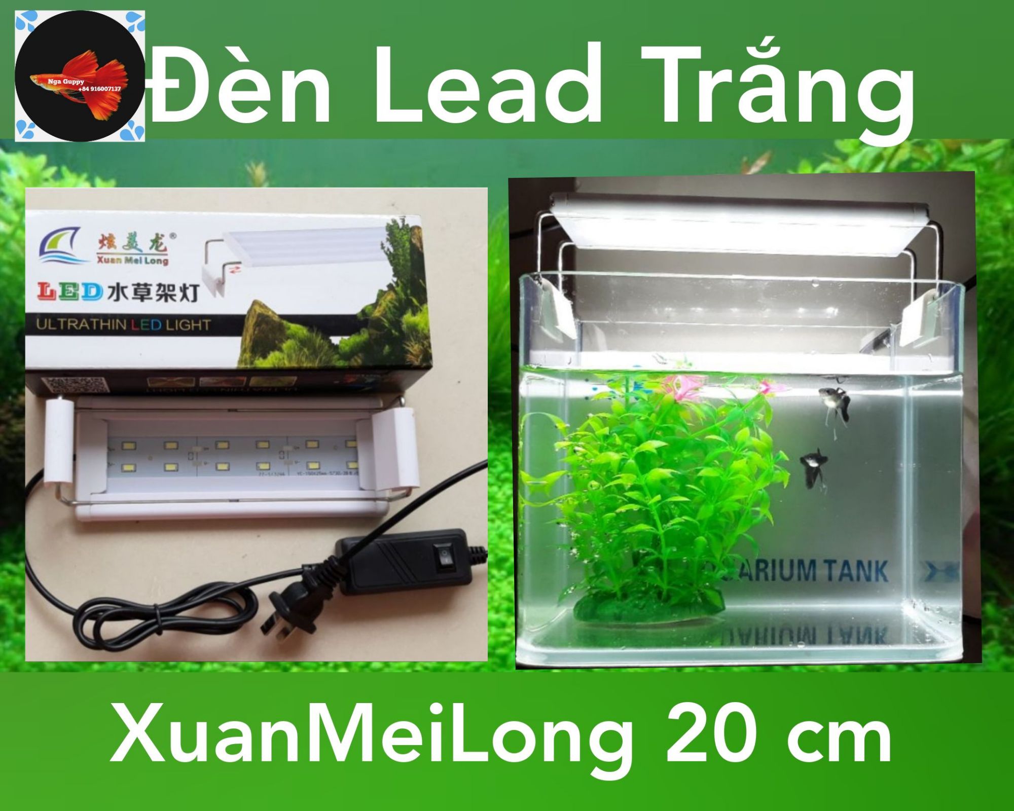 Đèn Led Xuan Mei Long cho hồ cá