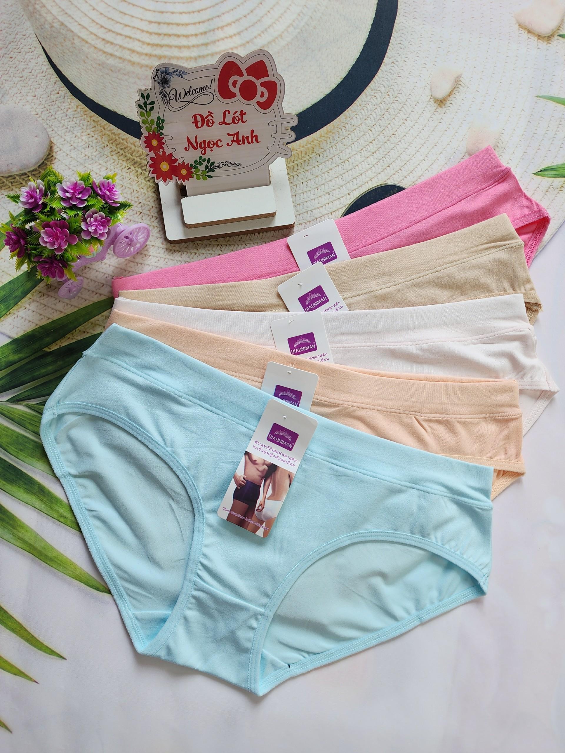 Combo 5 Và 10 Quần Lót Nữ Cotton Thái Cao Cấp Mền Mịn Thoáng Mát Co Giãn Size 60 - 75 Kg [8602] - Đồ Lót Quỳnh Nhi