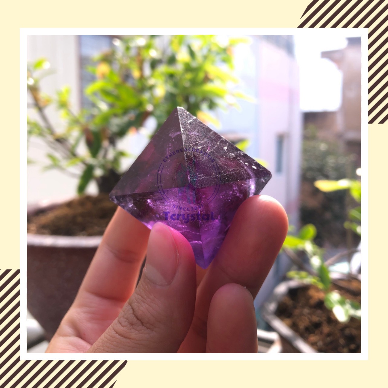 Phèn Crom tinh khiết nuôi tinh thể l Tcrystalstore