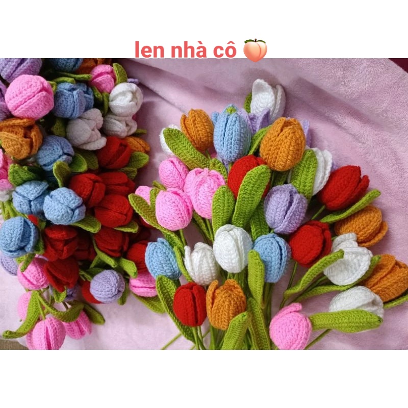 Hoa tulip cành dùng trang trí nhiều màu
