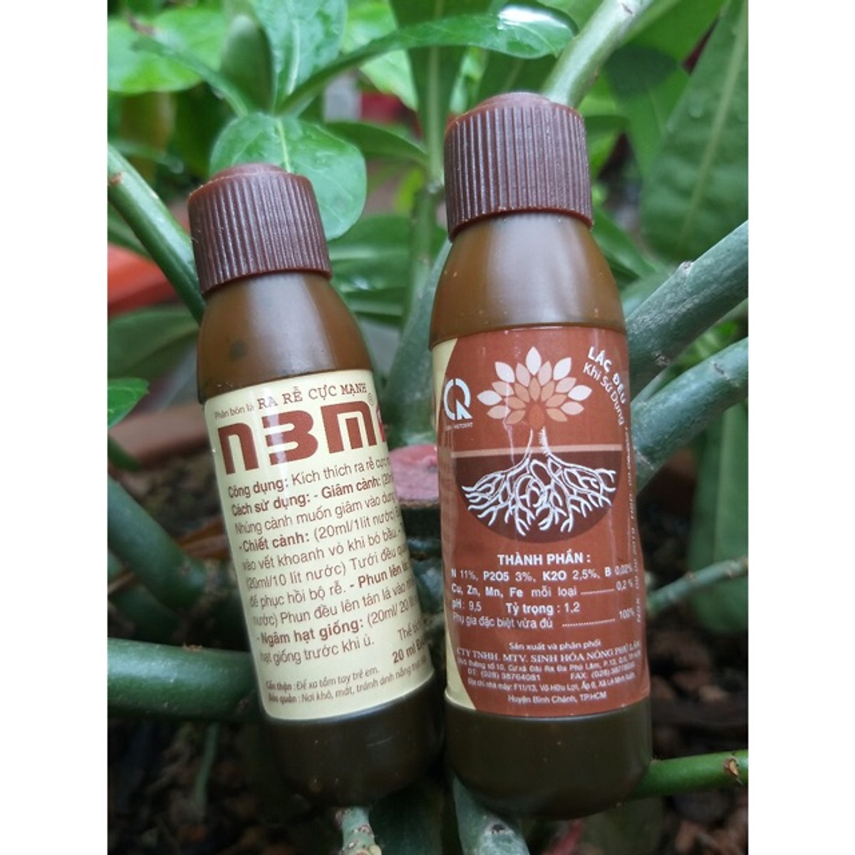 Phân bón lá kích rễ n3m dạng nước 20ml đậm đặc, ra rễ cực mạnh