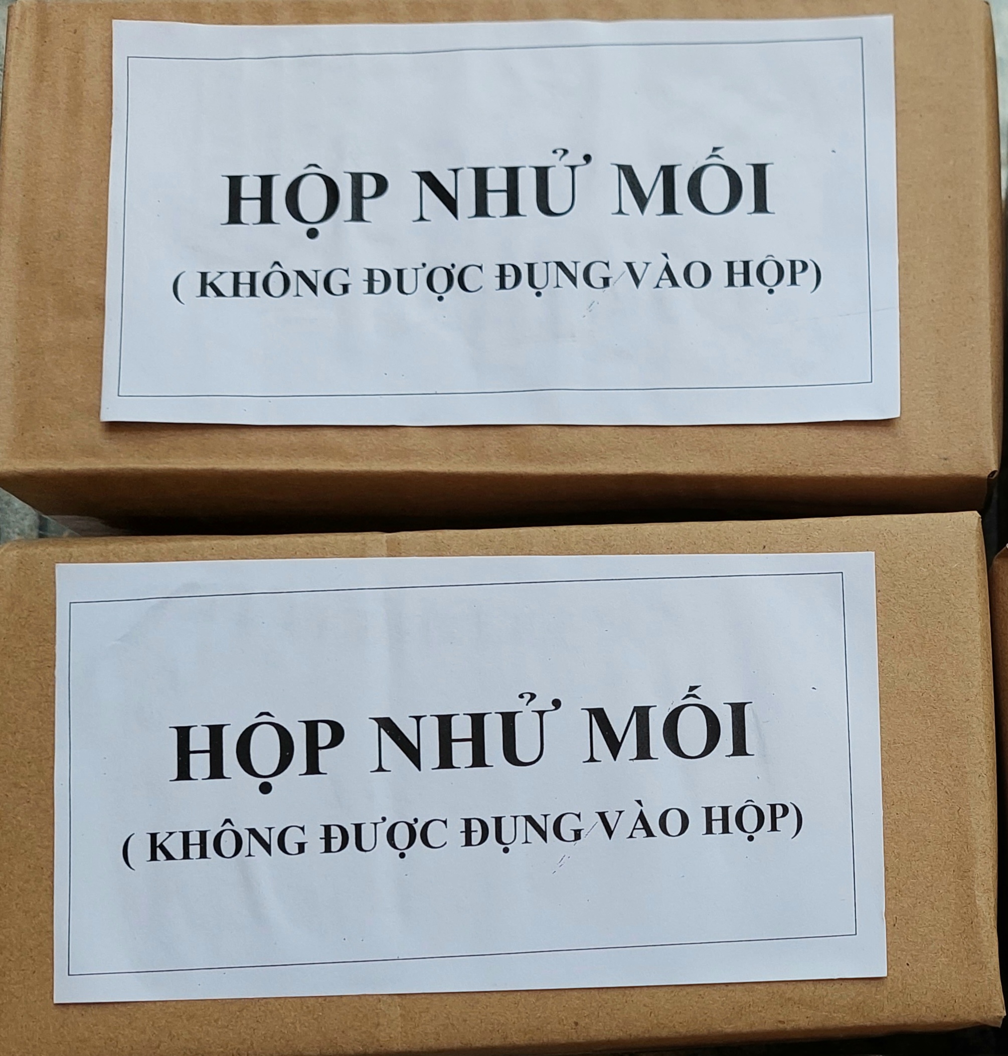 Hộp nhử mối gỗ thông trắng- hộp dẫn dụ bắt mối diệt trừ mối - diệt mối sinh học pmc90