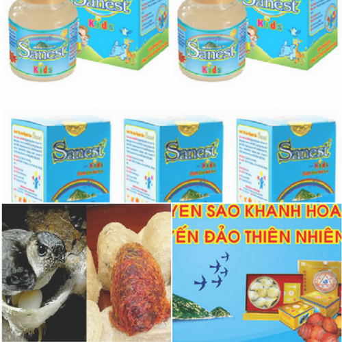 Bộ 06 hũ yến sào Sanest khánh hòa cao cấp dành Cho Em Bé (KL:62ml x 6 hũ)