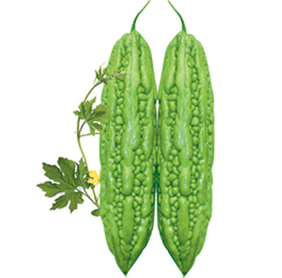 Hạt giống khổ qua f1 pn 342 gói 2gram
