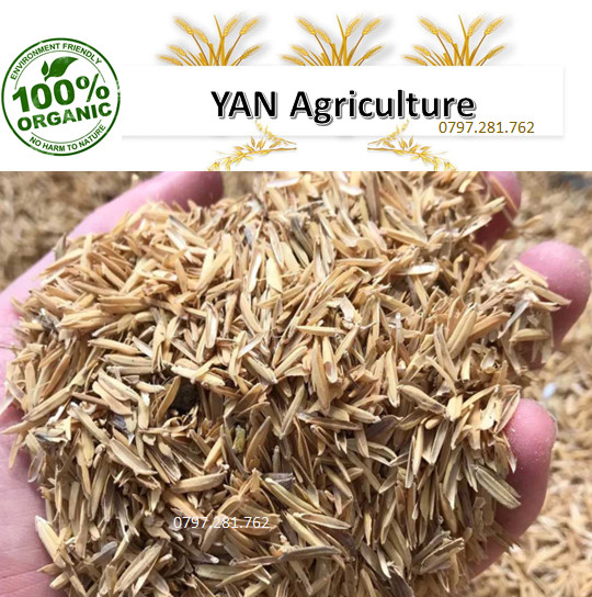 3 kí trấu khô/3 KG trấu khô/vỏ trấu khô/trấu trồng cây/trấu tươi trồng cây/trấu sấy khô/trấu gạo/ dùng để trồng cây, ươm cây giống, giúp đất tơ xốp và màu mỡ