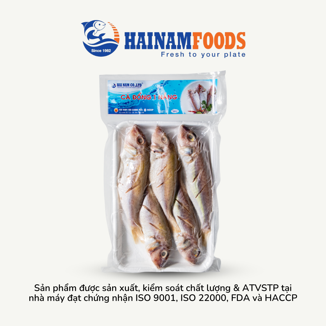 CÁ ĐỔNG 1 NẮNG HẢI NAM