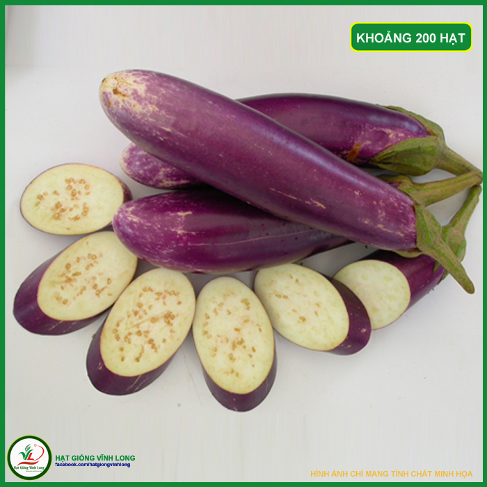 Hạt gống Cà tím TN 55A - 1g, hiệu Trang Nông chất lượng, nảy mầm cao