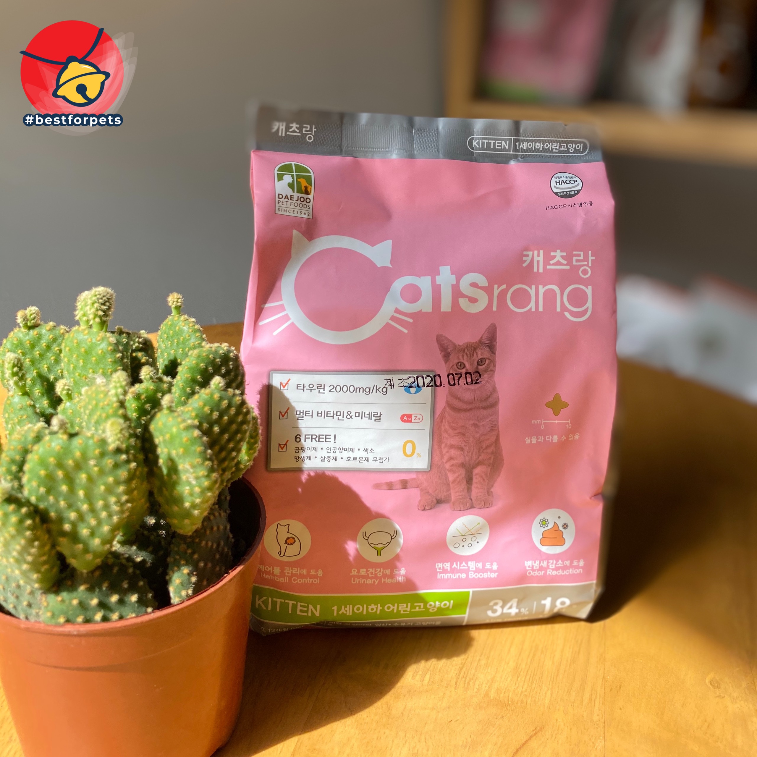 [Hoàn tiền 10%] Thức ăn cho mèo con Catsrang Kitten