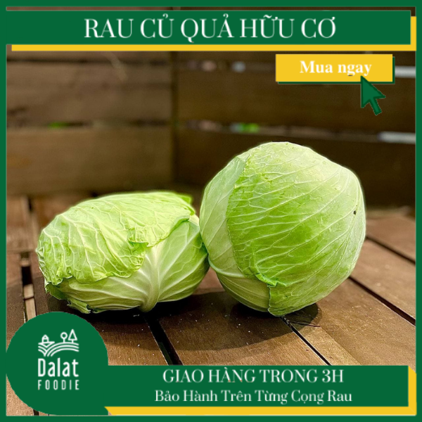 Bắp Sú Trắng 500G - [Giao hàng ngay tại TPHCM]