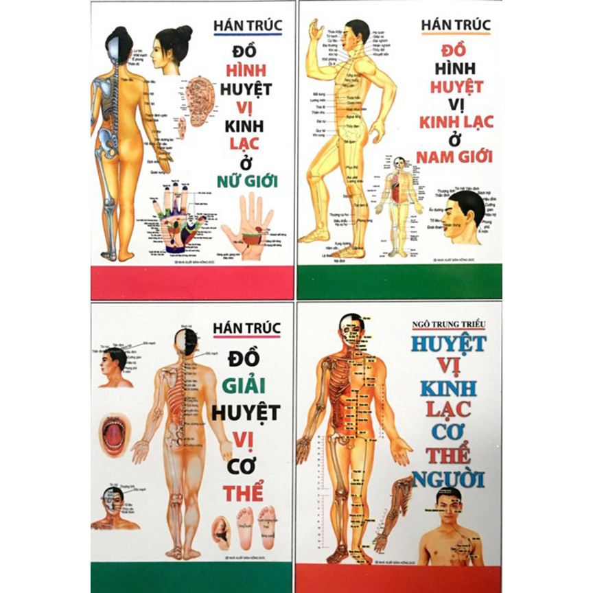 Combo sách - 4 cuốn huyệt vị kinh lạc về cơ thể người - nxb hồng đức.