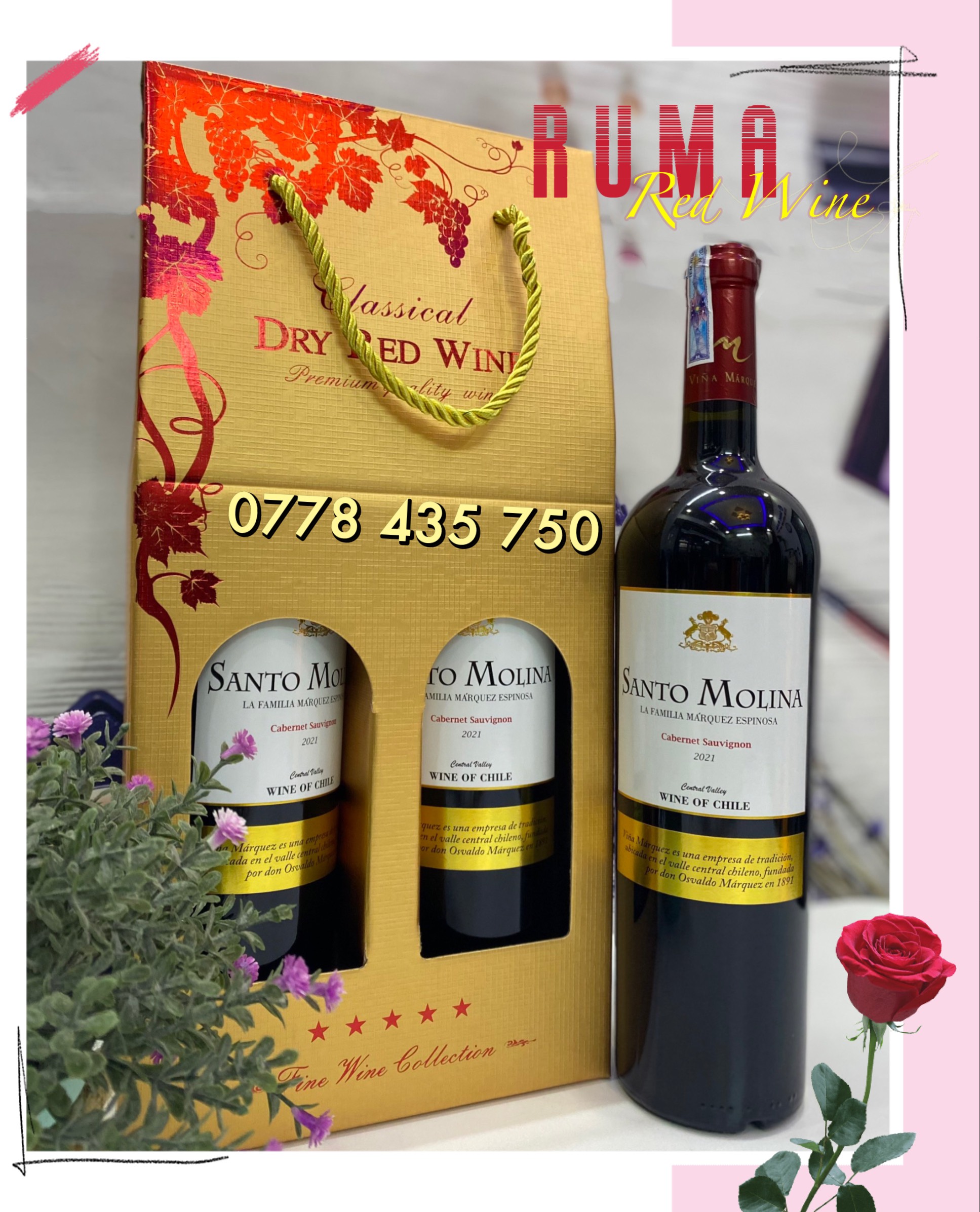 Quà tết 2 chai vang Chile Santo Molina nhập khẩu -Túigiấy