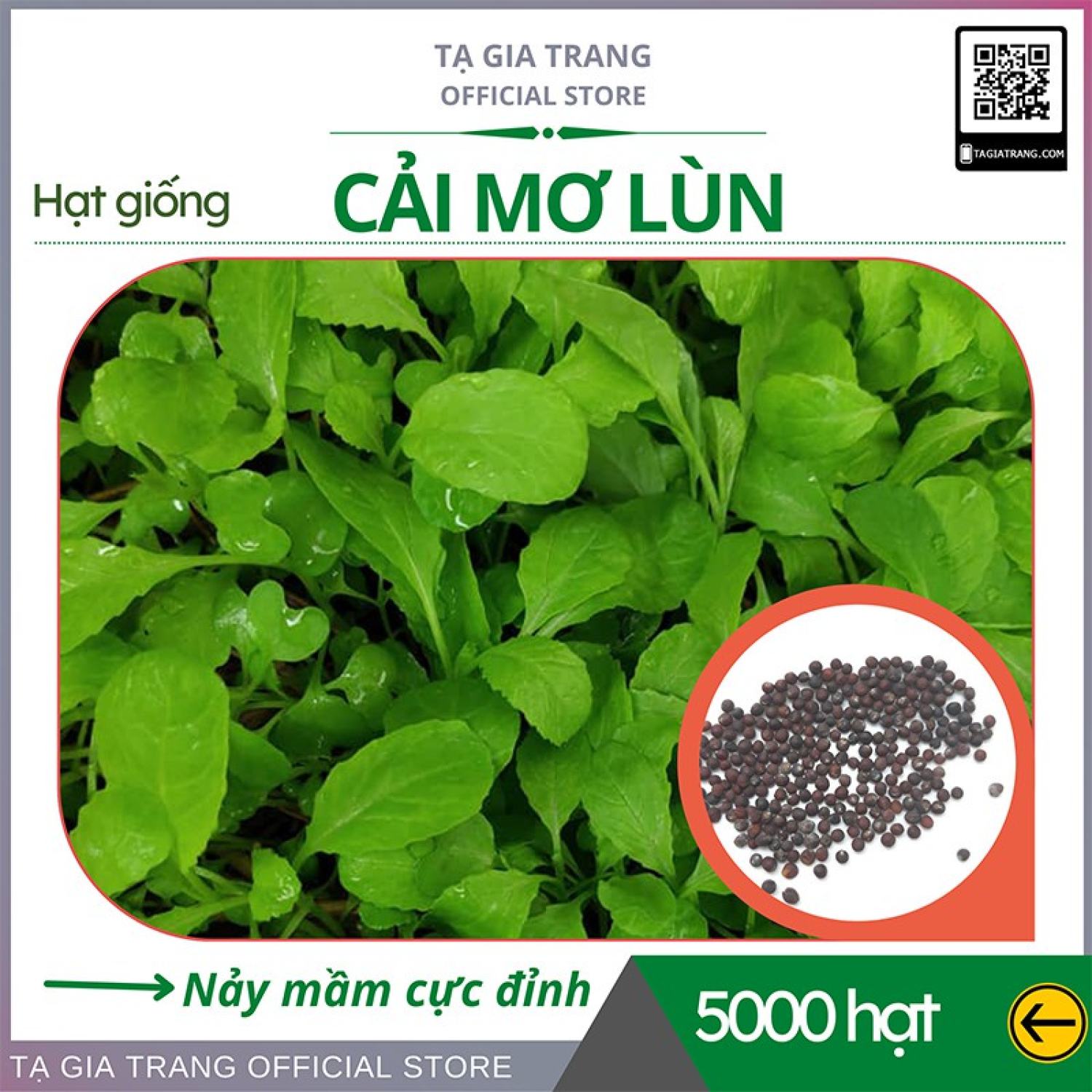 Ma84 gói 100 hạt giống rau cải mơ lùn - shop hạt giống tạ gia trang