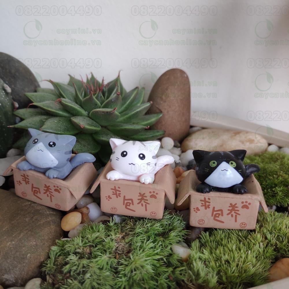 Mèo may mắn trong hộp - Phụ kiện trang trí tiểu cảnh Terrarium