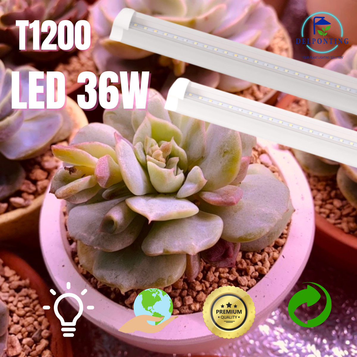 Đèn led trồng cây delponting t1200 led 36w, đèn quang hợp cho sen đá, ra xanh, hoa lan, kiểng lá