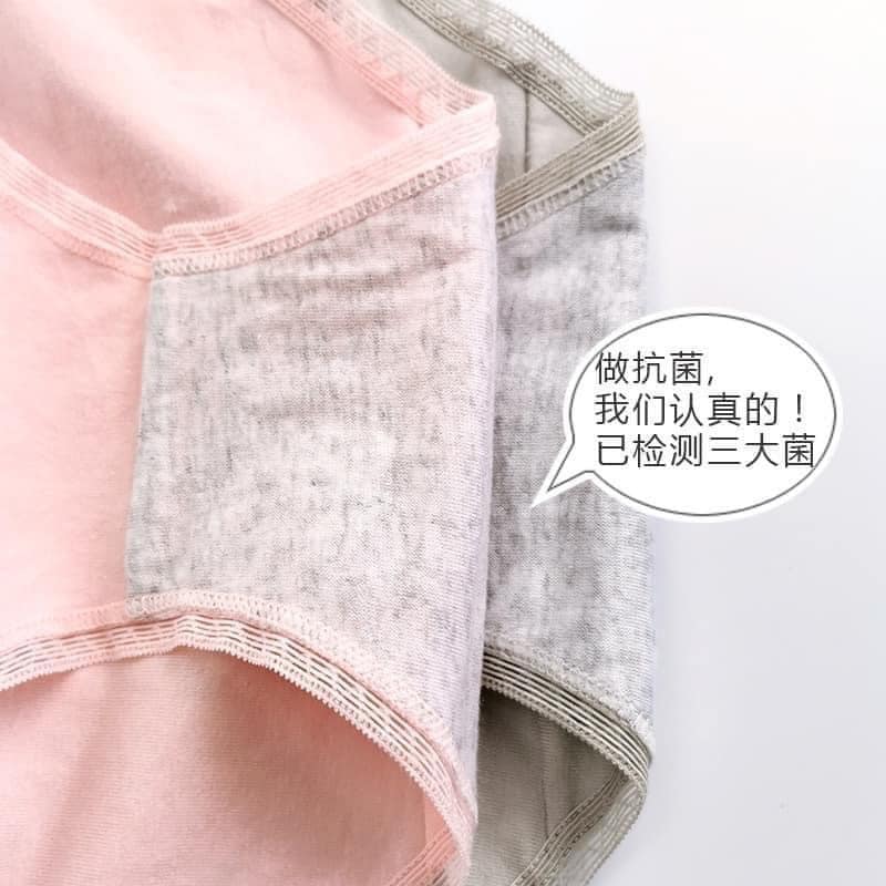 Quần lót gen bụng kháng khuẩn free size co dãn 4 chiều