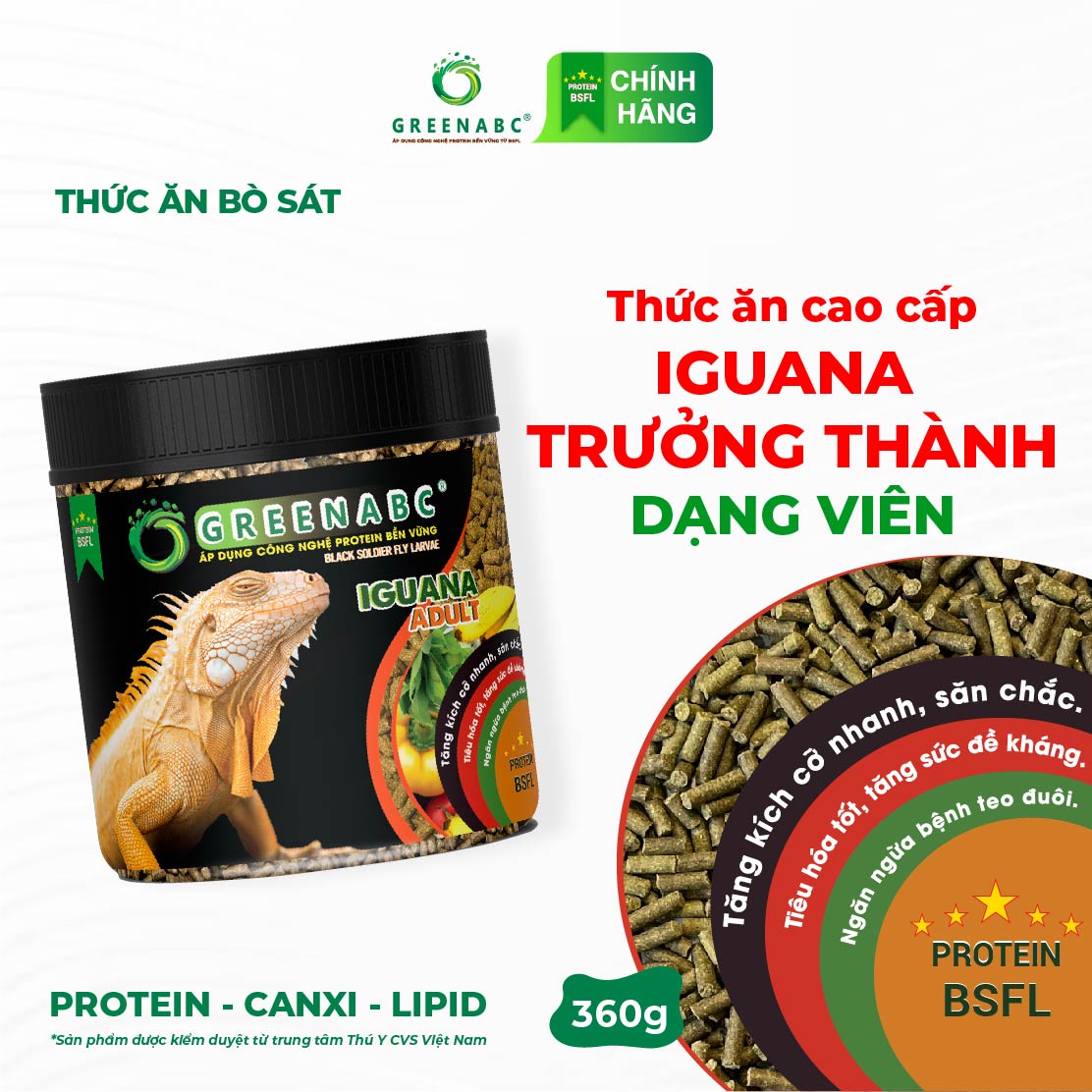 Greenabc Tablets for Adult Iguana - for Iguanas from 1m and Up, Beautiful Color - Box of 360g