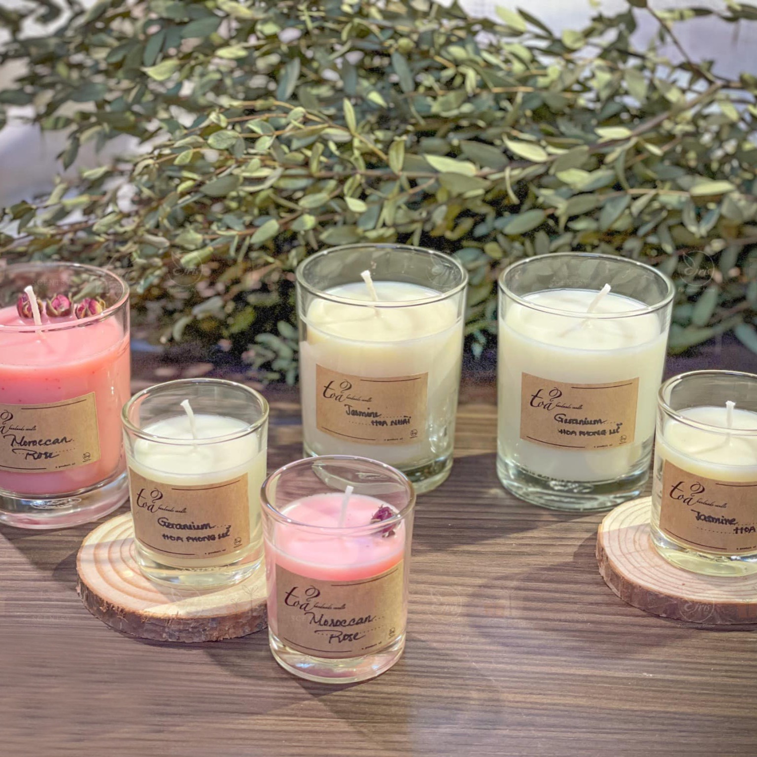 Nến thơm mùi sả chanh, tỏa handmade candle, nến thơm thư giãn