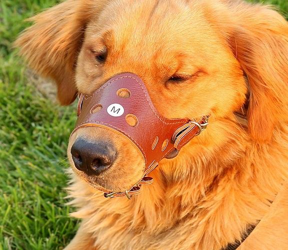 Rọ chó mèo / mõm chó bằng da mềm mại có các lổ và khe thông hơi- Dụng cụ bao mỏ chó/ thú cưng