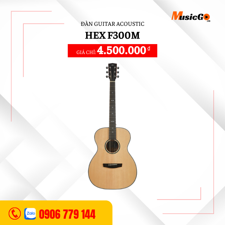 Đàn Guitar Acoustic HEX F300M