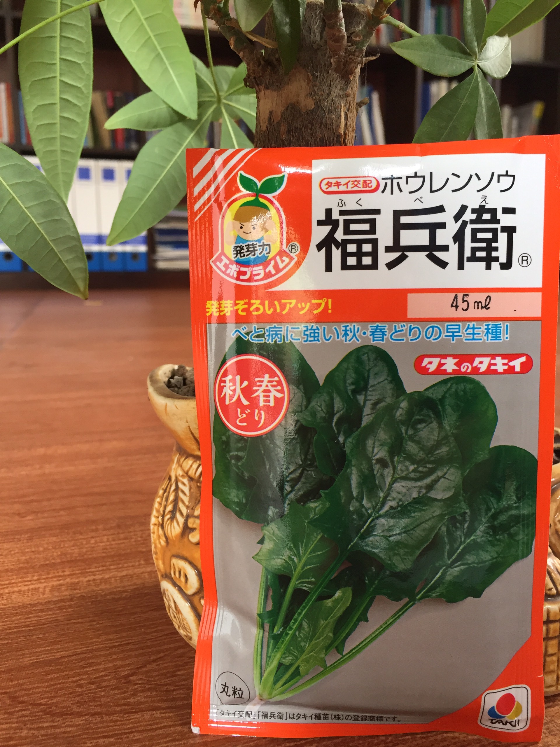 [Hạt giống Nhật Bản] – Gói 120 hạt giống cải bó xôi Nhật Bản Takii, Dòng Năng suất cao FUKUBEI (R) (Hạt giống Evoprime)