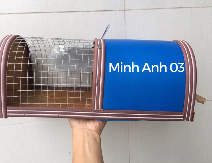 Bẫy chuột thông minh, loại trung, tặng kèm gói mồi nhử chuột